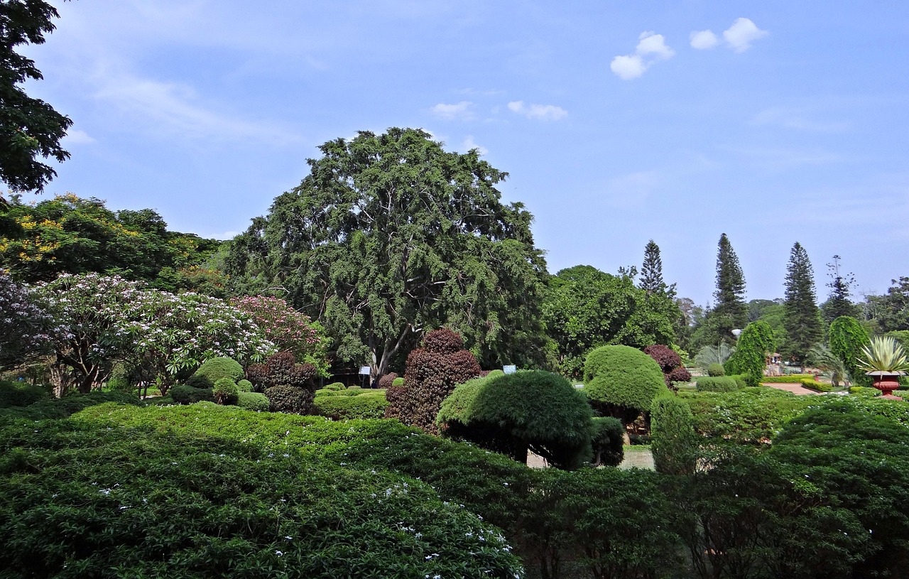 沙盤游戲，心理治療中的隱秘花園